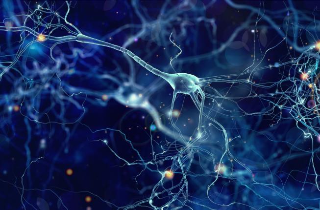 Collegamento a Da un EEG potenziato nuovi passi in avanti per diagnosi e cura di Parkinson