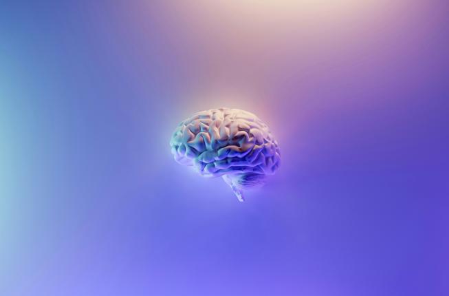 Collegamento a Il cervello non è mai 'spento', nemmeno quando è a riposo